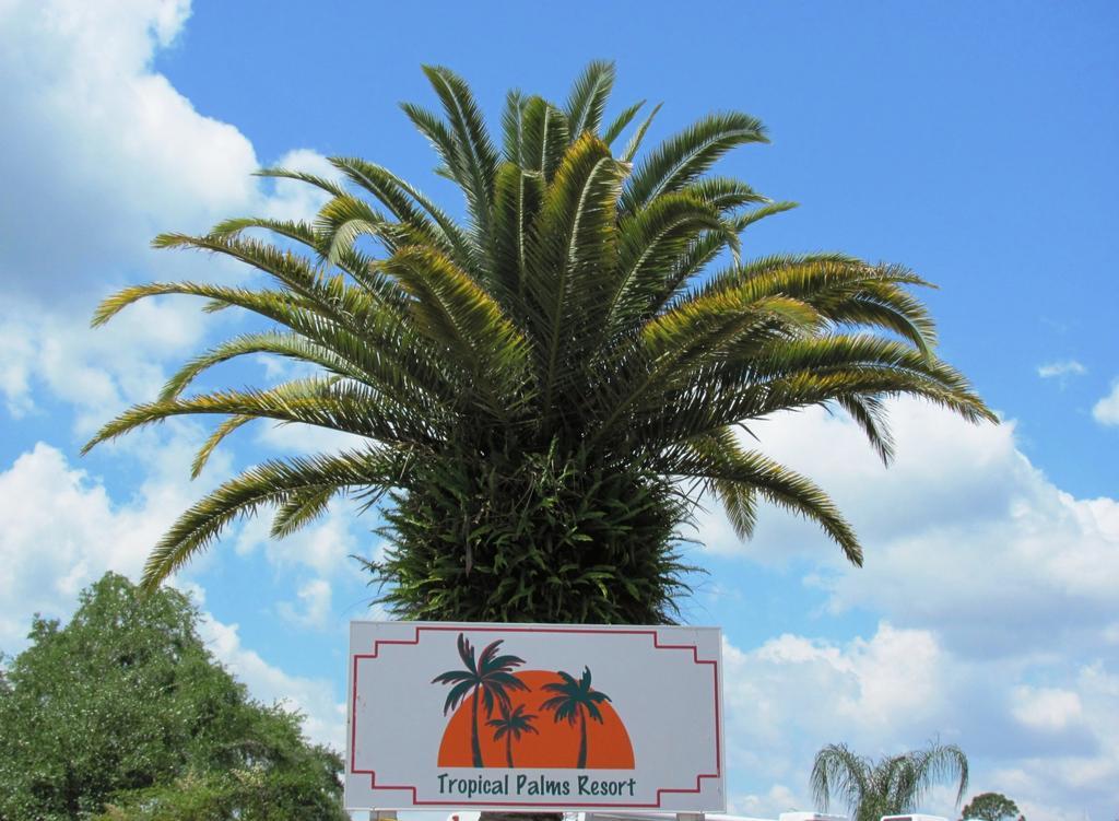 Tropical Palms Resort & Campground Киссимми Экстерьер фото
